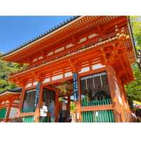 京都祇園社　八坂神社　見所４つ