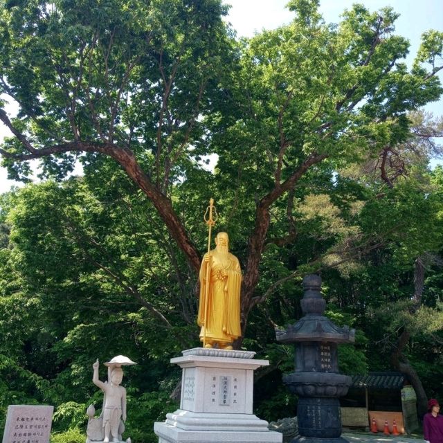 만여개에 연등이 가득한 팔공산 동화사 대웅전 앞에서다
