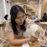 คาเฟ่แมวสุดหนุบหนับ 🐈 Mali Cat Cafe Bangsaen