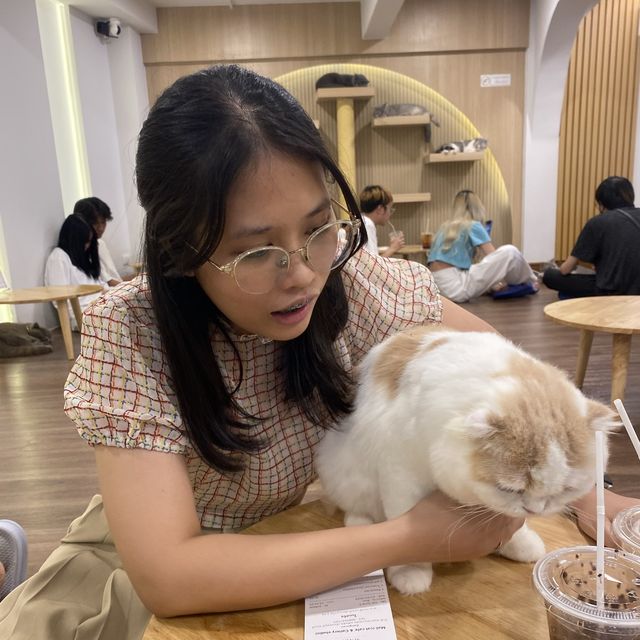 คาเฟ่แมวสุดหนุบหนับ 🐈 Mali Cat Cafe Bangsaen