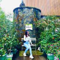 JEJU TRIP