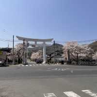 東京近郊賞櫻地推介 - 長瀞川