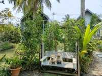 พาน้องหมามาหายใจทิ้งที่คาเฟ่นี้กัน  อยู่อัมพวานี้เอง