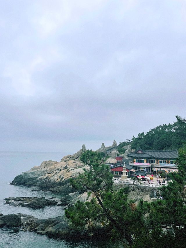 대한민국에서 가장 아름다운 사찰, 부산 해동용궁사🌊