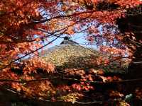 【京都】絶景ながらマイナー観光スポット！蓮華寺をご紹介