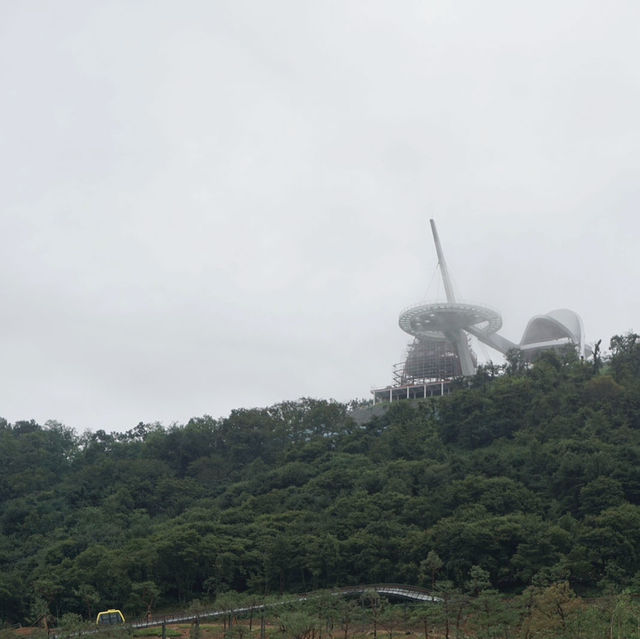 편안하게 정상까지 올라가는 강화 화개산 모노레일