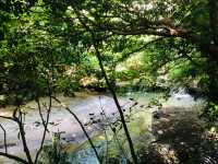 台北｜☀️🌳🍃綠色文學步道📍 Beitou Park 北投公園