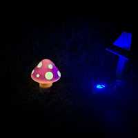 西湖渡假村夜晚夢幻光雕秀🌙🌠🌌