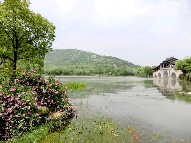 無錫蠡湖公園🏞結合傳統園林與歐式公園風格