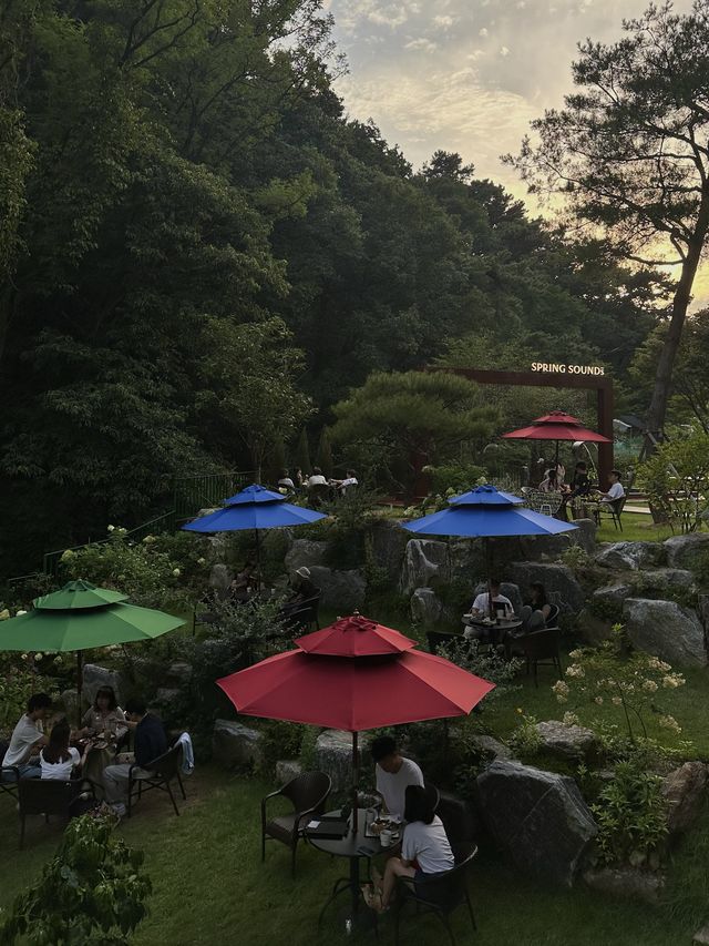 근사한 고기리 계곡뷰와 다양한 빵을 먹을 수 있는“스프링사운즈