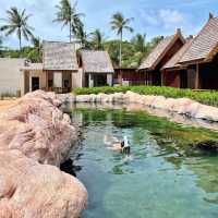 swim reef สระว่ายน้ำปะการังที่ใหญ่ที่สุดในอาเซียน