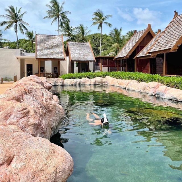 swim reef สระว่ายน้ำปะการังที่ใหญ่ที่สุดในอาเซียน