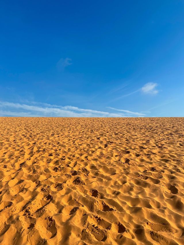 치즈가루 같은 레드샌듄🏜️ 보고 가세요😎🧡