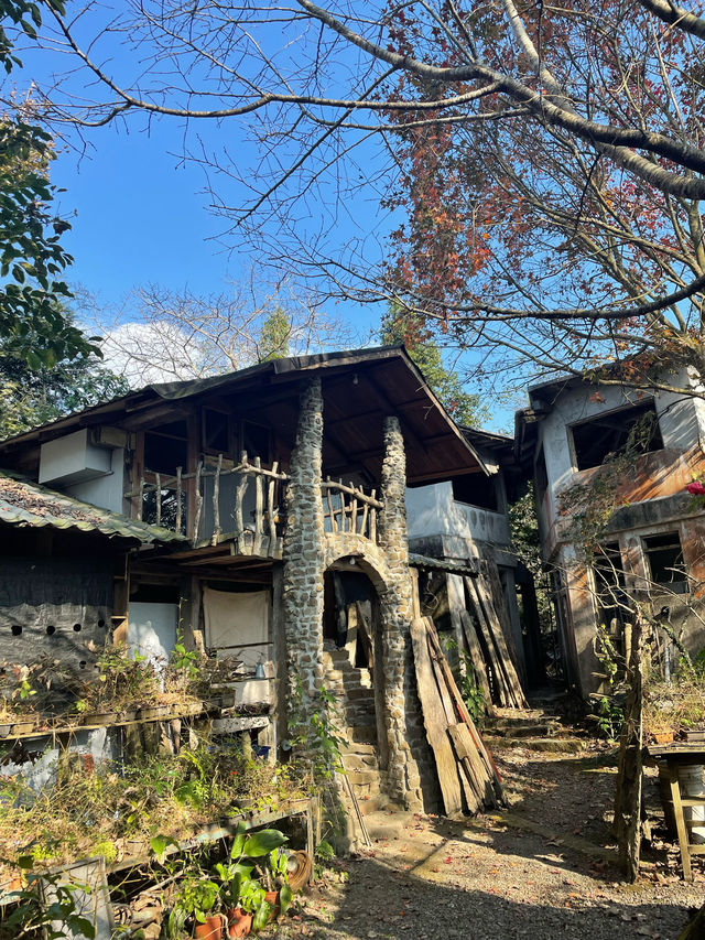 Hidden Gem in Alishan