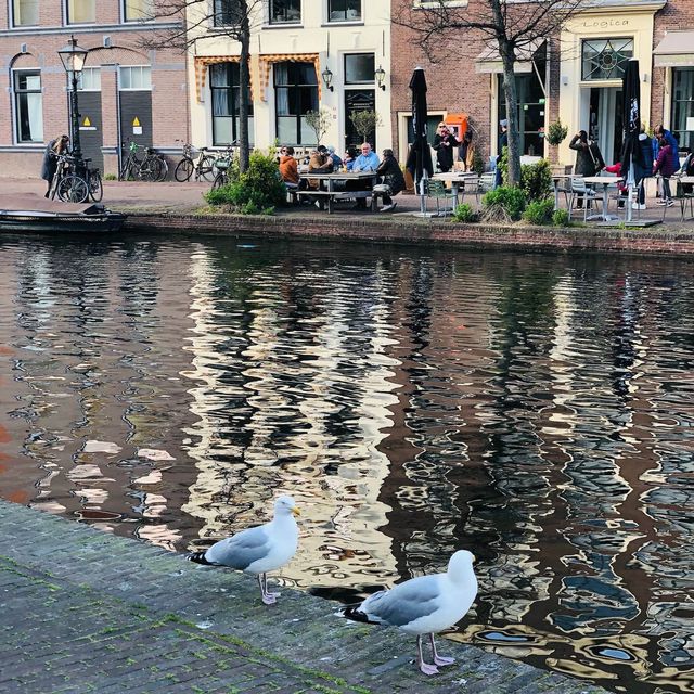 荷蘭🇳🇱萊頓市中心河岸景色🚤🛶