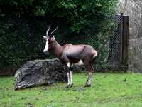 Best wildlife park in Belfast worth visiting 