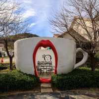 The Beauty of Damyang Meta Provence 