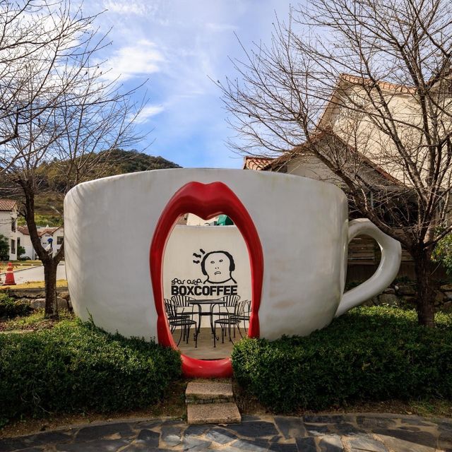 The Beauty of Damyang Meta Provence 