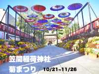 日本最古の菊まつり 笠間稲荷神社