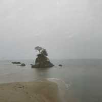 氷見旅行