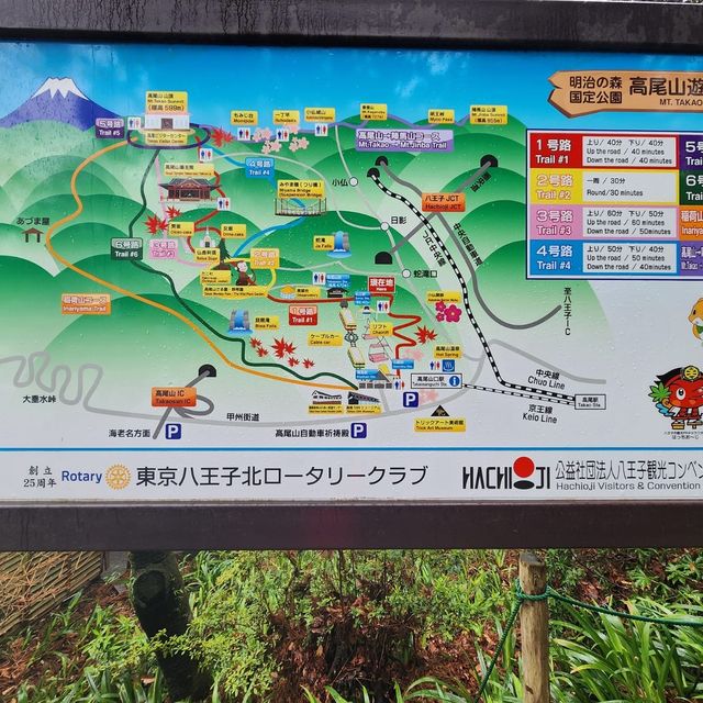 walking trail at Mt Takao