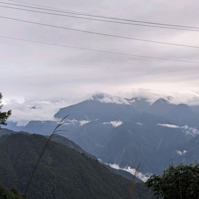 大雪山國家森林遊樂區的美好享受