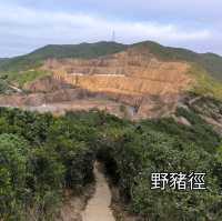 一條既輕鬆又CP值高之行山徑,你總等？