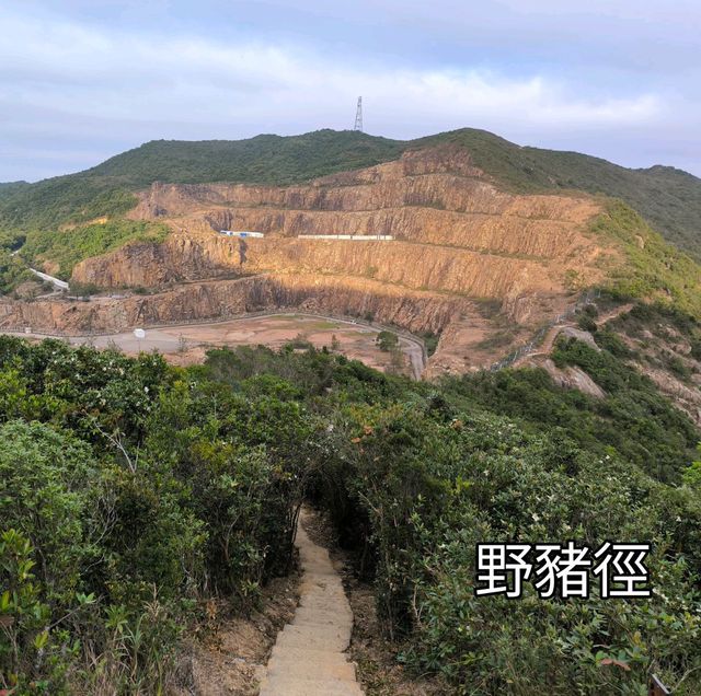 一條既輕鬆又CP值高之行山徑,你總等？