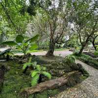 แอ่วสวนส้มปรีชา
(Preecha Farm)