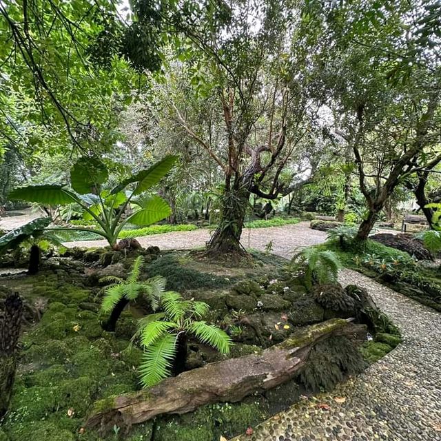 แอ่วสวนส้มปรีชา
(Preecha Farm)