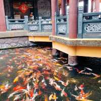 Mesmerising Temple- A Backdrop for CNY MTVs