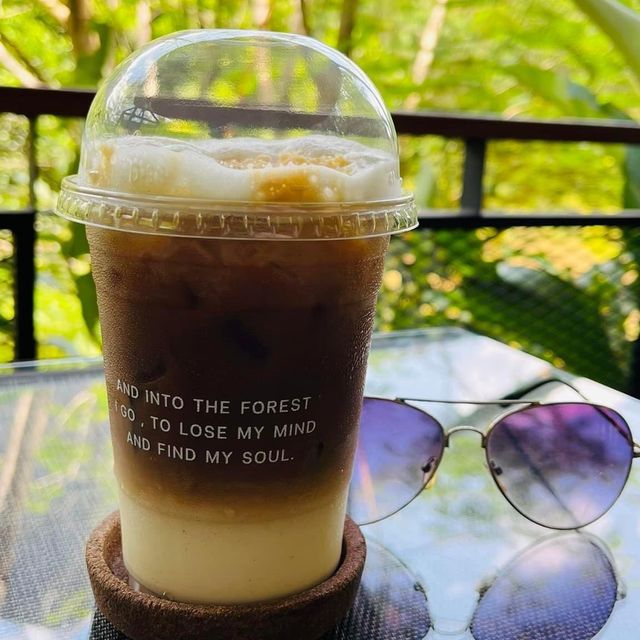 คาเฟ่กลางป่าเขา Into the forest กระบี่