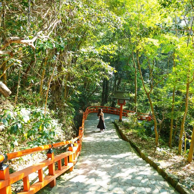 【大分】九州のパワースポット！宇佐八幡宮