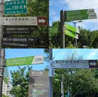 จุดชมวิว Taipei 101 - Xiangshan Elephant Moutain