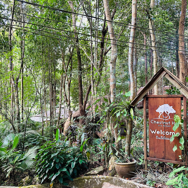 เชสท์นัท ฮิลล์ อีโค่ รีสอร์ท & คาเฟ่