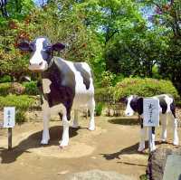 A must-visit temple in Nagano