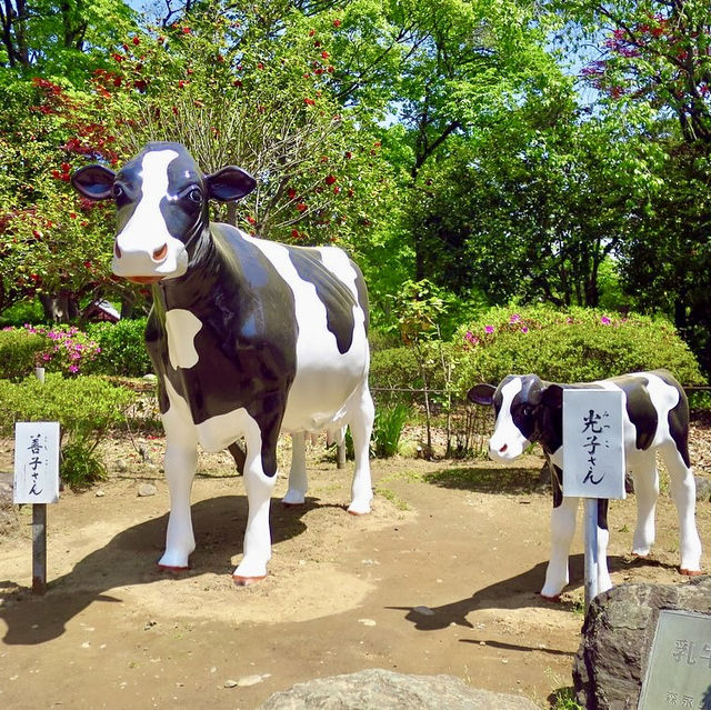 A must-visit temple in Nagano