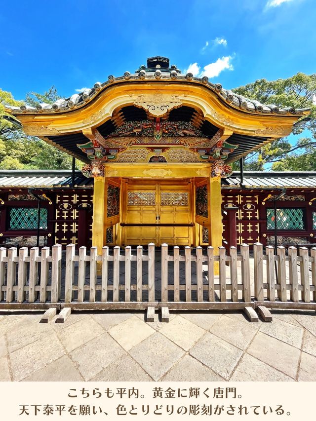 【東京|上野】まばゆい金色堂✨