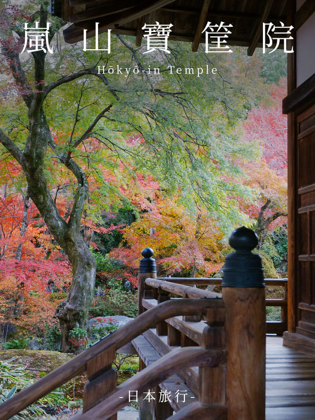 京都景點｜嵐山精緻的賞楓名所——寶筐院