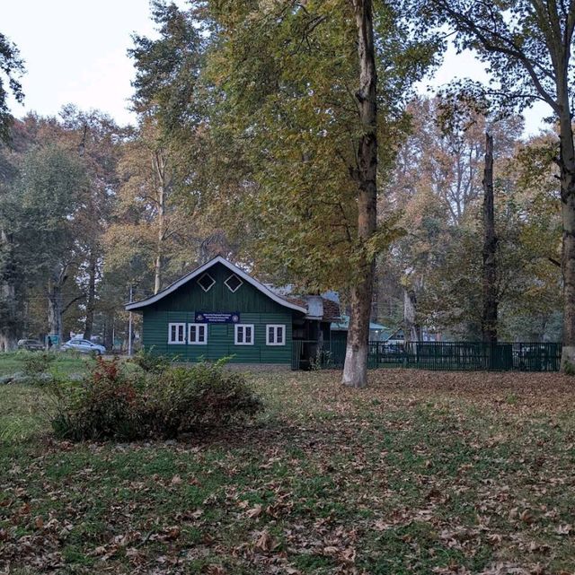 Chinar Heritage Park 