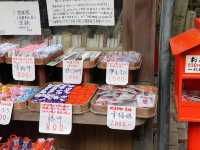 Nonomiya Jinja เทพธิดาแห่งการจับคู่ 💞