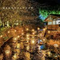 【熊本】有名温泉街の冬の幻想的な風景
