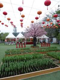 「春暖花開•年月燦爛」Lake House活動