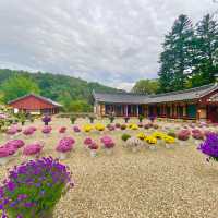 통일신라때 세워진 보석 같은 금산의 절 -  보석사