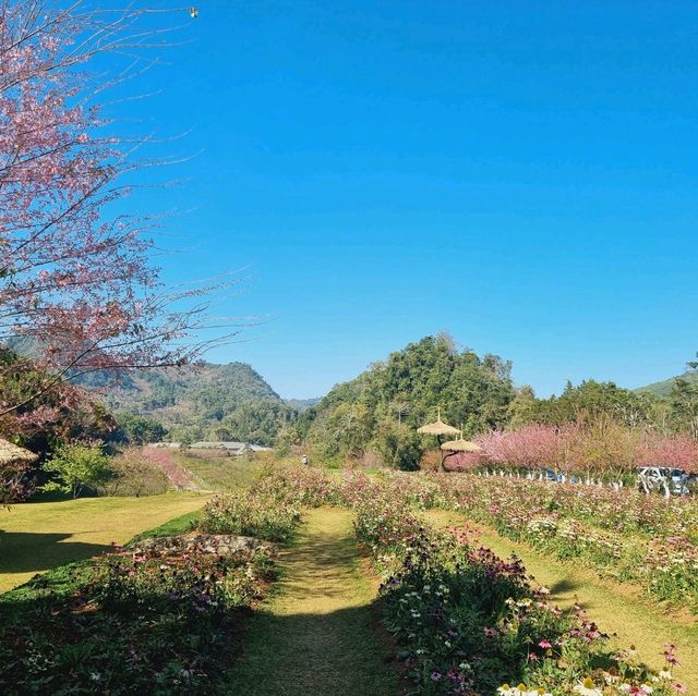 สถานีเกษตรหลวงอ่างขาง