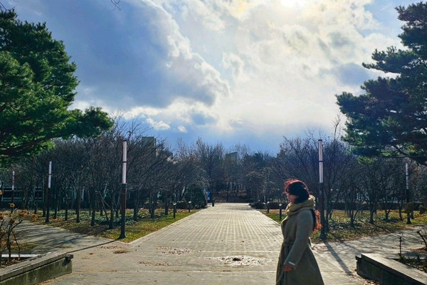12月微走訪了首爾林, 零下的冷風太可怕, 我們只走走逛逛一|Trip.com 首爾