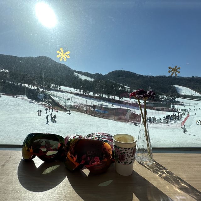 首爾近郊芝山滑雪場，超近，超方便，雪道多又寬躺，讚👍🏻