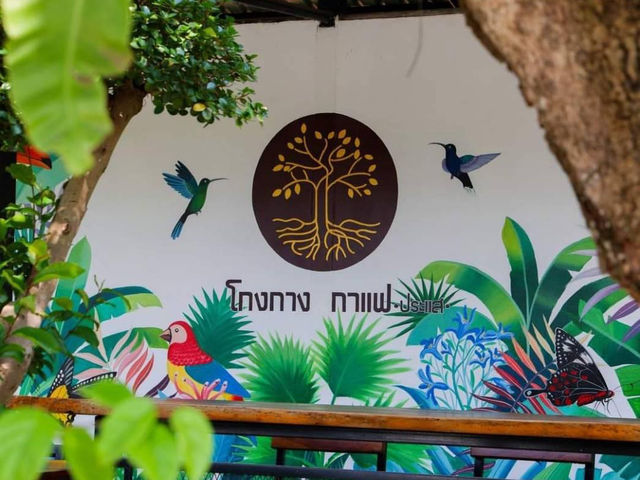 Kongkang Kafe โกงกาง