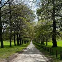 Wollaton Hall