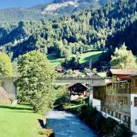 Peak View Adventure⛰️